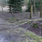 zdjęcie nr 13