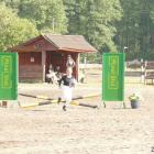 zdjęcie nr 20