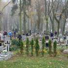 zdjęcie nr 21