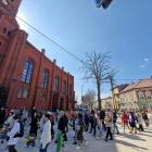 zdjęcie nr 11