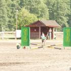 zdjęcie nr 26