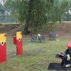zdjęcie nr 42