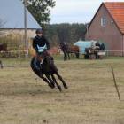 zdjęcie nr 83