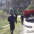 Fotka nr 5 z 9