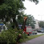 zdjęcie nr 28