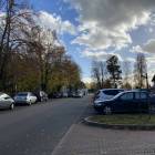 zdjęcie nr 31