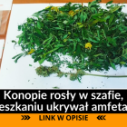 Fotka nr 0 z 1