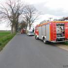 Fotka nr 1 z 2