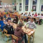 Fotka nr 2 z 14