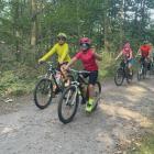 zdjęcie nr 18