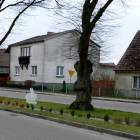 Fotka nr 1 z 11