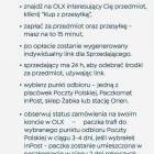 Fotka nr 1 z 11