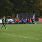 zdjęcie nr 11