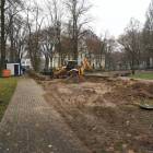 zdjęcie nr 9
