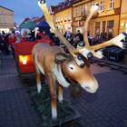 zdjęcie nr 7