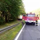 Fotka nr 2 z 5