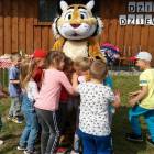 zdjęcie nr 12