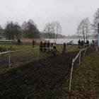 Fotka nr 2 z 11
