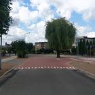 Fotka nr 2 z 7