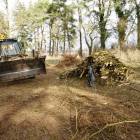 Fotka nr 5 z 18
