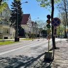 zdjęcie nr 10