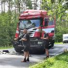 Fotka nr 2 z 6