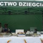 zdjęcie nr 259
