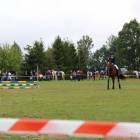 zdjęcie nr 181