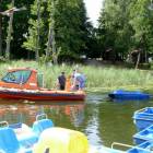zdjęcie nr 12