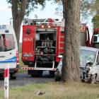 Fotka nr 1 z 13