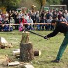 zdjęcie nr 55