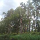 zdjęcie nr 44