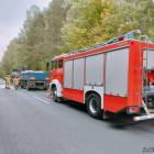 Fotka nr 4 z 17