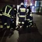 Fotka nr 5 z 13
