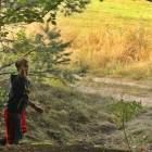 zdjęcie nr 37