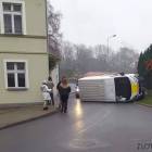 Fotka nr 1 z 2