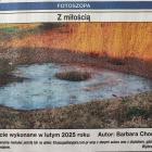 Fotka nr 1 z 2