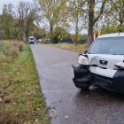 zdjęcie nr 8