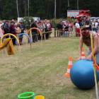 zdjęcie nr 168