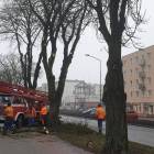 zdjęcie nr 8