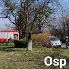 zdjęcie nr 48