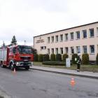 Fotka nr 2 z 9