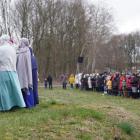 zdjęcie nr 139