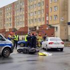 zdjęcie nr 7
