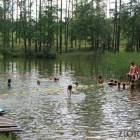 zdjęcie nr 48