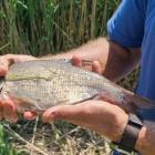 zdjęcie nr 13
