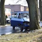 Fotka nr 2 z 7