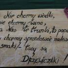 zdjęcie nr 54