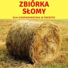 Fotka nr 4 z 5