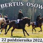 zdjęcie nr 40